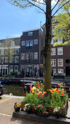 flowers are growing in baskets on the side of a street next to some boats and buildings