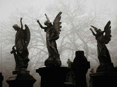 three statues with angel wings on top of headstones in front of foggy trees