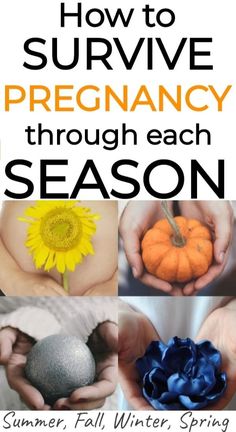 how to survive pregancy through each season by summer, fall, winter, spring