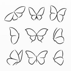 six different types of butterflies drawn in black ink on a white paper with the words, `