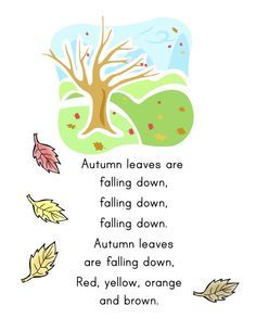 autumn leaves are falling down and falling down