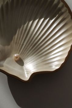 a white shell shaped dish with a pearl in it's center and shadow on the wall