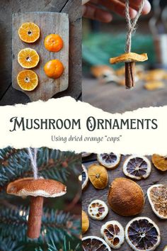 mushrooms and oranges are hanging from the branches in this collage with text that reads mushroom ornaments using dried oranges