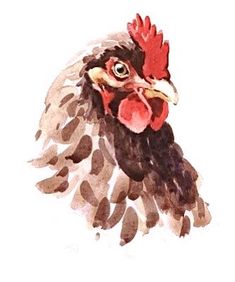 a watercolor painting of a rooster's head