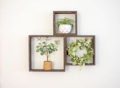 three wooden boxes with plants in them hanging on the wall next to a planter