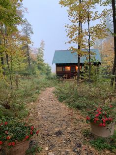 two potted plants on the side of a dirt road in front of a cabin