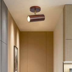 the hallway is clean and ready to be used as a light fixture in this modern home