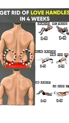 the diagram shows how to get rid of love handles in 4 weeks