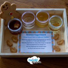 the science experiment is in a wooden tray with cookies and honey jars on it, along with a teddy bear