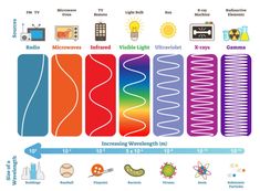 the different types of light bulbs and their uses in lighting fixtures are shown here, including lamps, microwaves, lights, and televisions