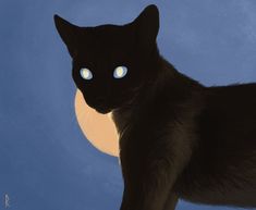 a black cat with glowing blue eyes stands in front of the moon and looks into the distance