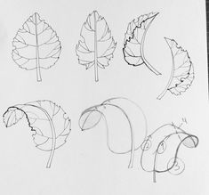 four different types of leaves drawn on paper