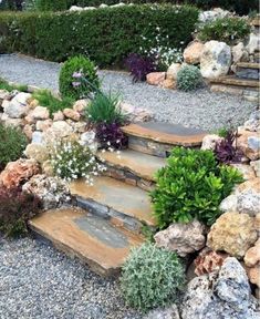 an outdoor garden with rocks and plants