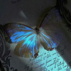 a blue butterfly sitting on top of a piece of paper