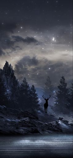 a deer standing on top of a mountain under a night sky