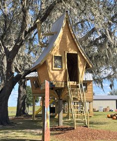 a tree house with a ladder to the top