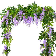 purple flowers are growing over the top of a green plant arch on a white background