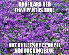 Savage Roses Are Red Quotes, Roses Are Red Violets Are Blue Savage, Roses Are Red Quotes, Red Roses Quotes, Roses Are Red Memes, Roses Are Red Funny, Roses Are Red Poems, Rhyming Quotes, Lettering Diy