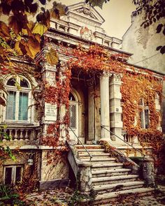 an old building with ivy growing on it's side and stairs leading up to the front door