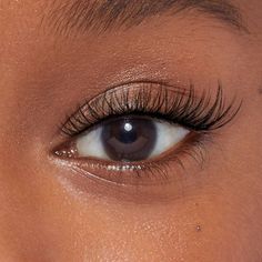 Falsies Eyelashes, Natural Fake Eyelashes, Eyelash Clusters, Lashes Fake Eyelashes, Wispy Eyelashes, Cat Eye Lash, Perfect Eyelashes, Pretty Lashes, Natural Eyelash Extensions