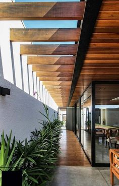 Forro de madeira dentro da casa termina em um pergolado no corredor Pergola Modern, Interior Architecture Design, Future House, Modern House Design, Modern Architecture, A House, Architecture House