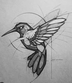 a drawing of a humming bird with wings spread out and its beak extended to the side