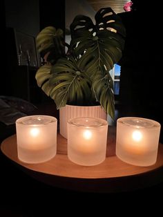 three lit candles sitting on top of a table next to a potted palm plant