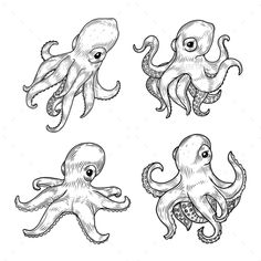 four octopuses - animals characters