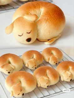 there are many rolls shaped like animals sleeping on the cooling rack, and one has a stuffed animal in it's mouth