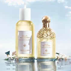 La collection de parfums Aqua Allegoria célèbre les merveilles du Monde. Chaque création rend hommage à la beauté de la nature et nous plonge à la découverte de matières premières et de notes d’exception, sublimées par nos parfumeurs-explorateurs. Découvrez Bergamote Calabria, la bergamote épicée par la cardamome, la baie rose et le gingembre, ensoleillée par le petitgrain citronnier puis enrobée de muscs blancs.« Bergamote Calabria, c’est un voyage ensoleillé au cœur de la bergamote zestée fleu Calabria