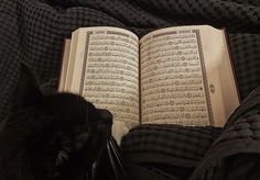 a black cat laying on top of a blanket next to an open book with arabic writing