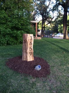 a tree stump that has been carved into the ground