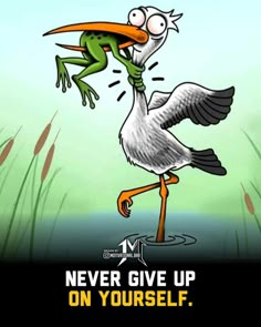 a cartoon bird with a frog on it's back and the caption never give up on yourself