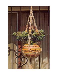 a potted plant hanging from the side of a building