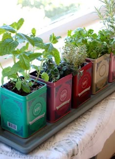 four tins filled with plants sitting on top of a table next to a window