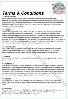 the term and conditions worksheet is shown in this document, which includes instructions for writing