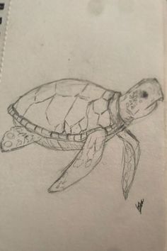 a pencil drawing of a turtle swimming in the ocean