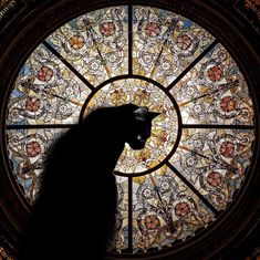 a black cat sitting in front of a stained glass window