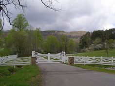 a white gated driveway leading to a lush green hillside