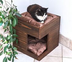 a black and white cat sitting on top of a dog bed in front of a plant