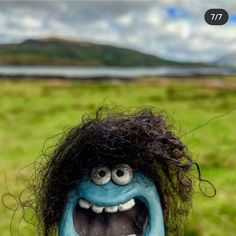 an odd looking face with long hair and big eyes in front of a green field