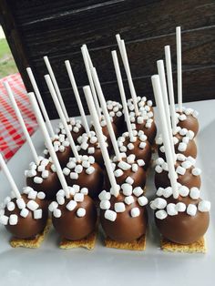 chocolate covered desserts with marshmallow toppings on a white platter at a party