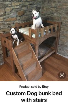 there are two dogs sitting on the stairs