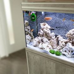 an aquarium with rocks and plants in it