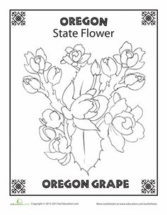 the oregon state flower coloring page is shown in black and white, with an image of flowers