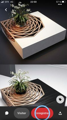 two photos of an unusual planter made out of wood and plexed with plants in it