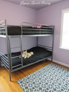 a cat laying on top of a bunk bed in a room with purple walls and hardwood floors