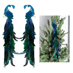 an image of peacock feathers hanging on a tree branch and another photo of the same item