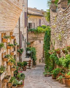 an alley way with flowers and potted plants on either side, surrounded by stone buildings