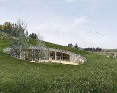 an unusual house on top of a hill with people walking around the yard and trees in the background